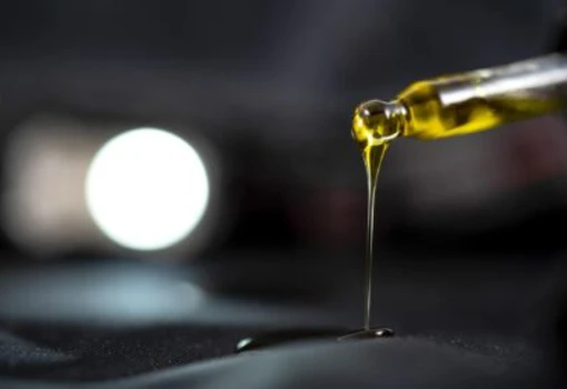 CBD – legalna marihuana?